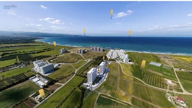 Monday Night Zoom Call 24/06/24: Aphrodite Aqua смотреть онлайн