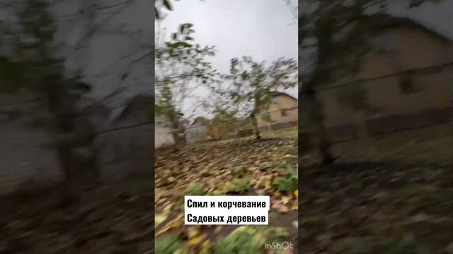 Спил и кочевание садовых деревьев, г. Набережные Челны, Татарстан.