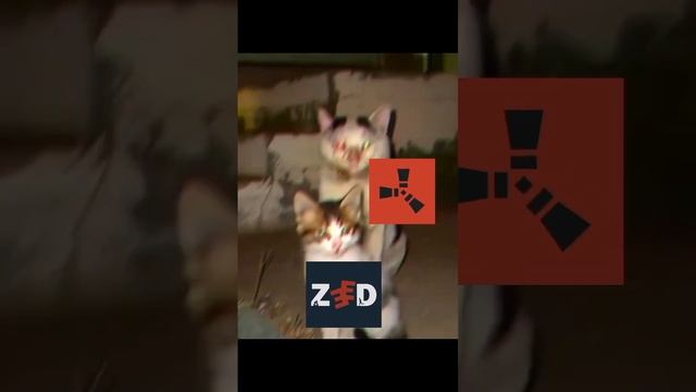 кто не понел раст-старая уже игра, а zeed-совсем новая смотреть онлайн