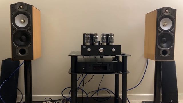 Paradigm Studio 40 V4