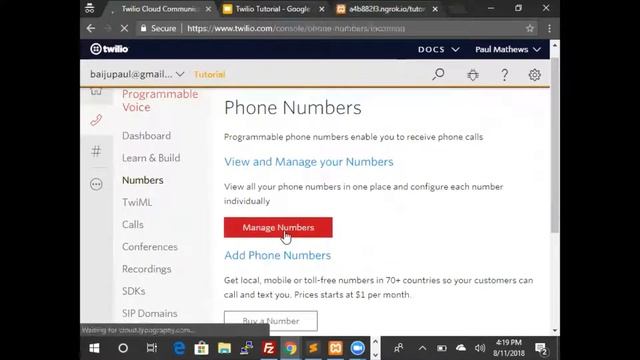 Tutorial 2: Twilio ngrok setup and troubleshooting смотреть онлайн
