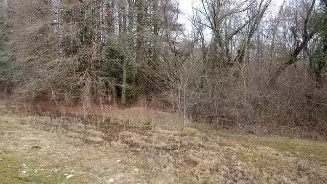 Участок 2Га. Черная речка. Цена 6 🍋 смотреть онлайн