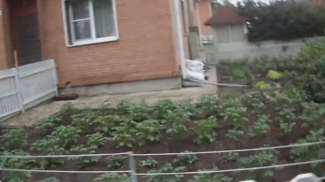 Невероятно в городе Таунхаус. смотреть онлайн