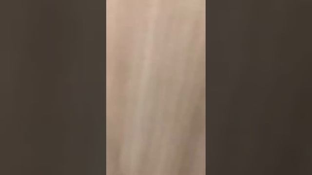 Аренда квартиры Цветочный переулок смотреть онлайн