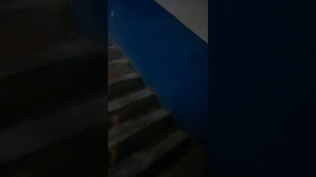 квартира посуточно в Дербенте смотреть онлайн