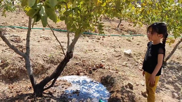 Nomadic Life: Nomadic Women's War: Nomadic Family Fight