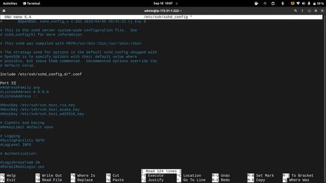 Accessing the VPS and Hardening the SSH смотреть онлайн