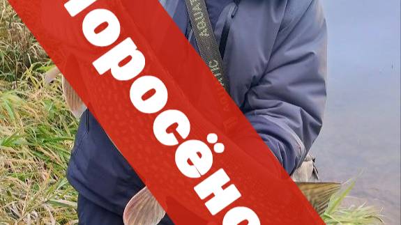 ВОТ ЭТО МОНСТР клюнул! Поставил новый рекорд на Оке. Твичинг воблеров в конце октября 2024.