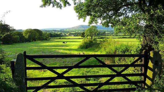 Lifestyle:  City Or Country