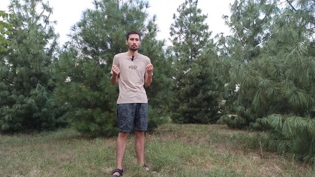 Как похудеть?! #lifehacks #советы #совет #какпохудеть #похудение смотреть онлайн