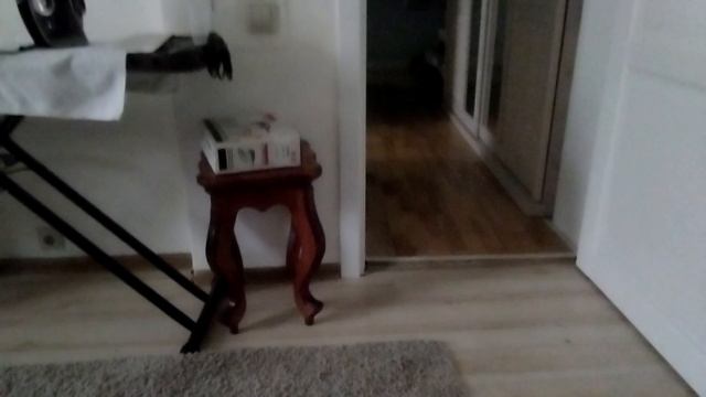 ко мне приезжает племянница и сестра с ночёвкой буду снимать ролики редко. смотреть онлайн