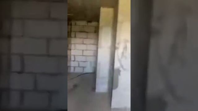 Квартира-студия ЖК "Бригантина" (в продаже) смотреть онлайн