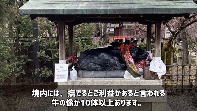 【京都観光】簡単に行ける京都のおすすめ観光スポット10選 смотреть онлайн