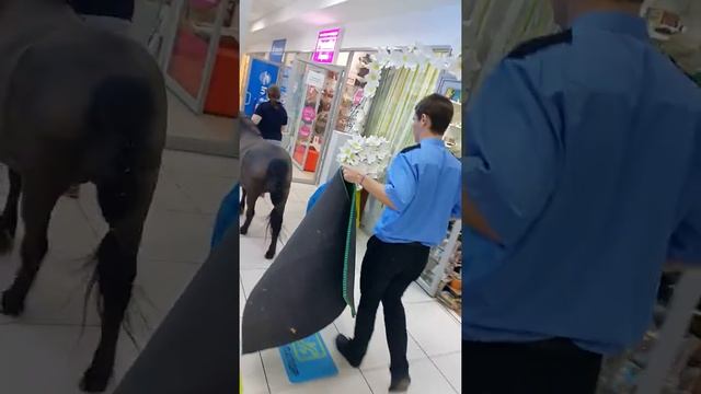 тц Прага на Янгеля 15.05.16 смотреть онлайн