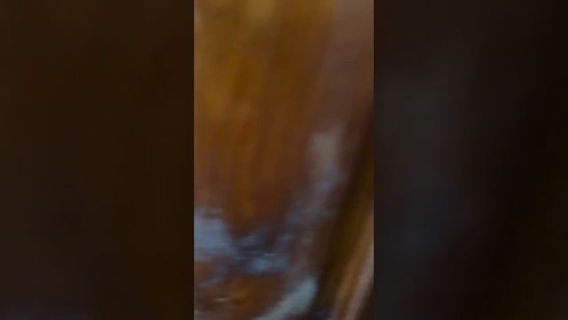 Белая Калитва Машиностроителе 19 смотреть онлайн