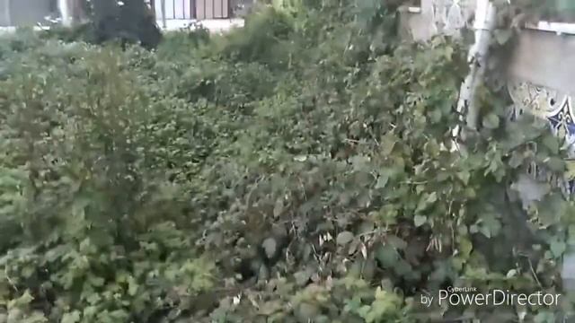 Жизнь в Порто смотреть онлайн