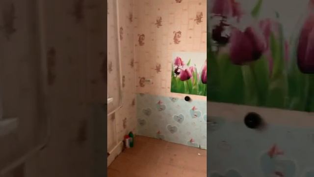 23 ноября 2020 г. смотреть онлайн