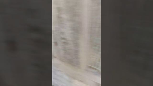 Осмотр дома перед покупкой смотреть онлайн