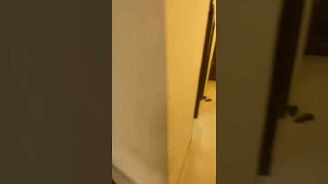 NayaPurana.in - 2BHK flat for rent in Malviya Nagar South Delhi 8851696452 смотреть онлайн