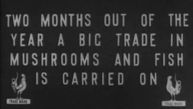 Moscow clad in snow Moscou sur la neige Москва в снежном убранстве Москва в снегу 1908, noaud смотреть онлайн