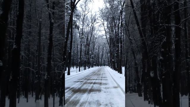 MOV 36051 Архангельское, осень 2016, Московская область смотреть онлайн