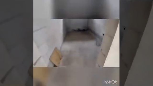 обзор дома смотреть онлайн