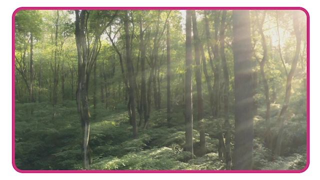 Vocabulary presentation 04-02_forest смотреть онлайн