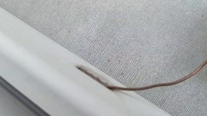 Пластиковые окна протекают во время дождя. Простой ремонт.