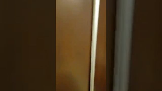 Квартиры посуточно в Бийске , Промышленная 8 VIP квартира в районе вокзала 8-964-080-77-88 смотреть онлайн
