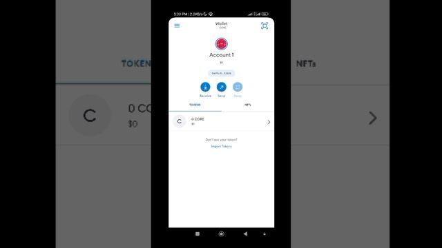 Core Mainnet: Adding Core Blockchain Into MetaMask wallet смотреть онлайн