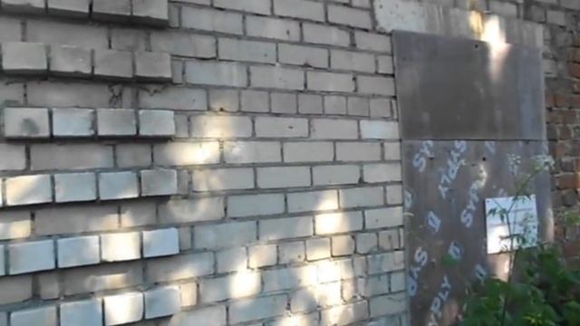 Странный дом