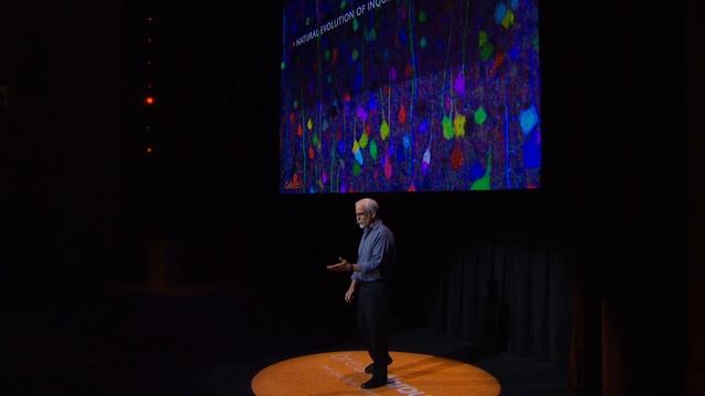 Moonshot for Neurotechnology: The Brain Observatory - M. Roukes - 4/29/2016 смотреть онлайн