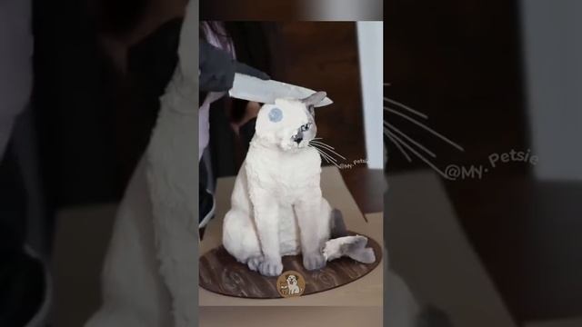 Вечный позитив от кошек 🤣🤣🤣 смотреть онлайн