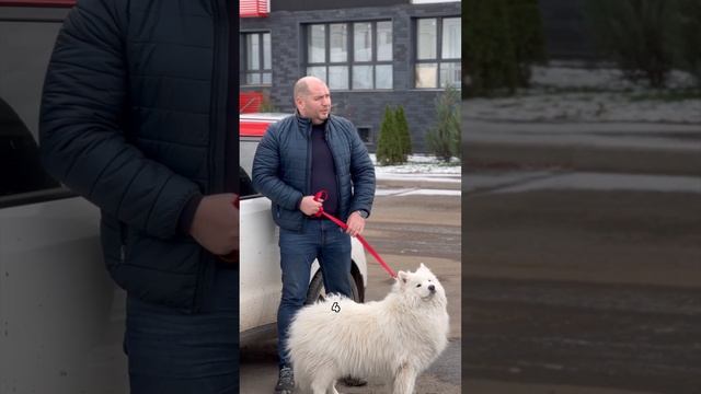 ЖК "Город Природы" смотреть онлайн