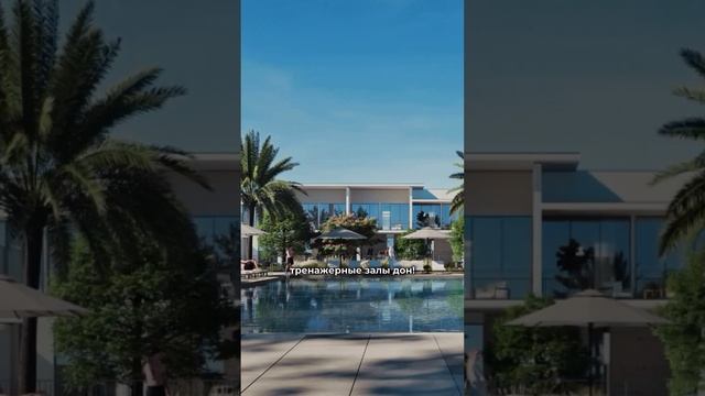 Ух ты! Самые низкие цены на таунхаусы в Дубае⤵️