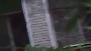 &"Парадигма". - & Психушка с буйными пациентами. &