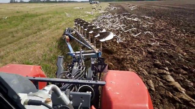 Кирюша на вспашке с плугом Lemken смотреть онлайн