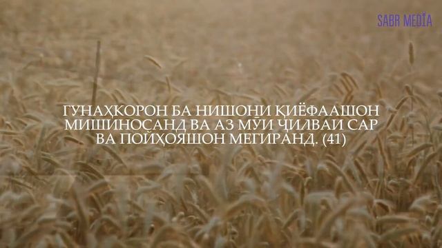 Сураи ар-Раҳмон | سورة الرحمن смотреть онлайн