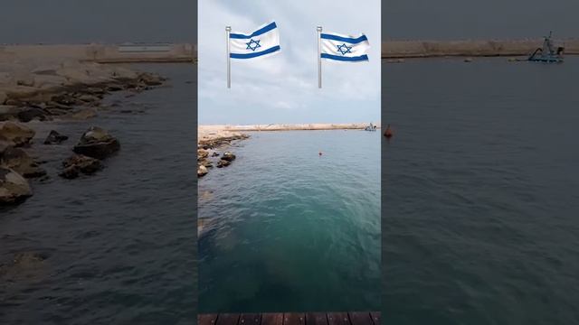 хизболла начала , на связи  Тель Авив Израиль #израиль #ישראל #ізраіль #тельавив #telaviv