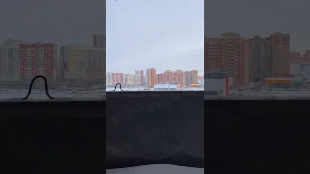 1 ком 35,7 Жк Новый мир смотреть онлайн