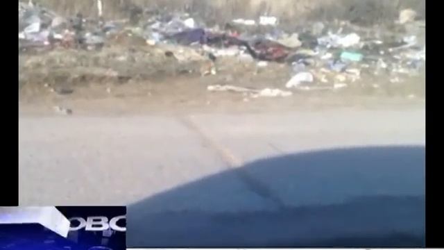 Мобильный репортёр-"Мусорный Клондайк" под Сафоновым смотреть онлайн