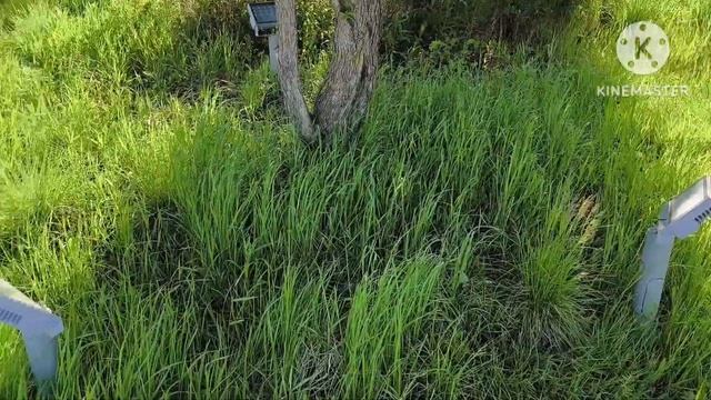 Мама💥ня отл💣ка.Примеряет купальники,ремонтирует свою квартиру,сдает чужую,ругается на комменты смотреть онлайн