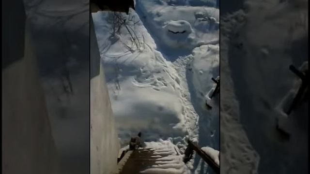 Зима в посёлке Заплюсье