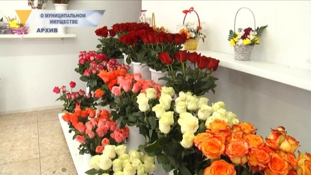 О МУНИЦИПАЛЬНОМ ИМУЩЕСТВЕ смотреть онлайн