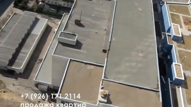 9 секция 22эт триумф палас.wmv смотреть онлайн