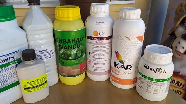 Подкормка и обработка винограда ! смотреть онлайн