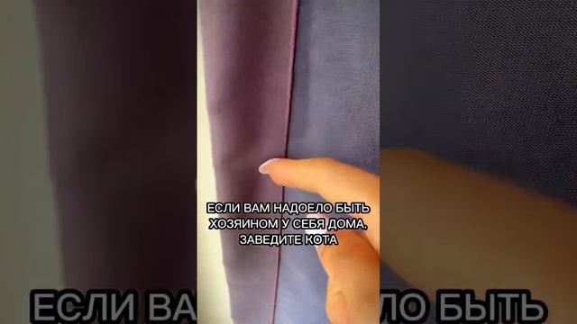 КОТ-ХОЗЯИН ДОМА смотреть онлайн