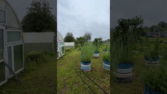 Продаётся бревенчатый дом со всеми коммуникациями на участке 17.2 сотки в селе Новое Ярославская об смотреть онлайн