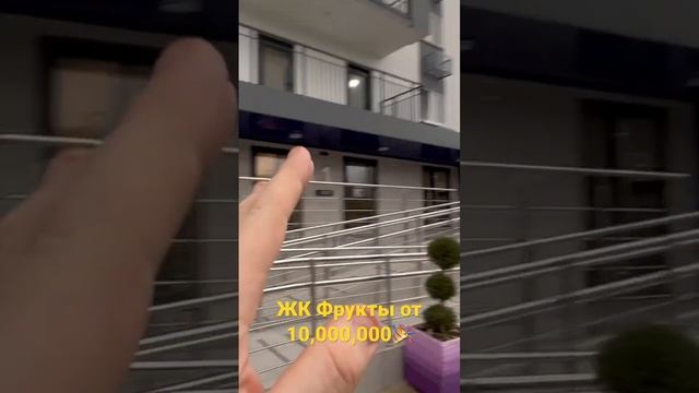 ЖК Фрукты 🍇