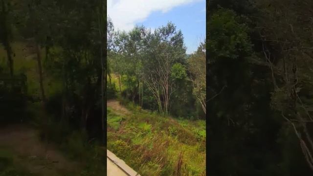 🌆 Последние дешёвые квартиры в Сочи